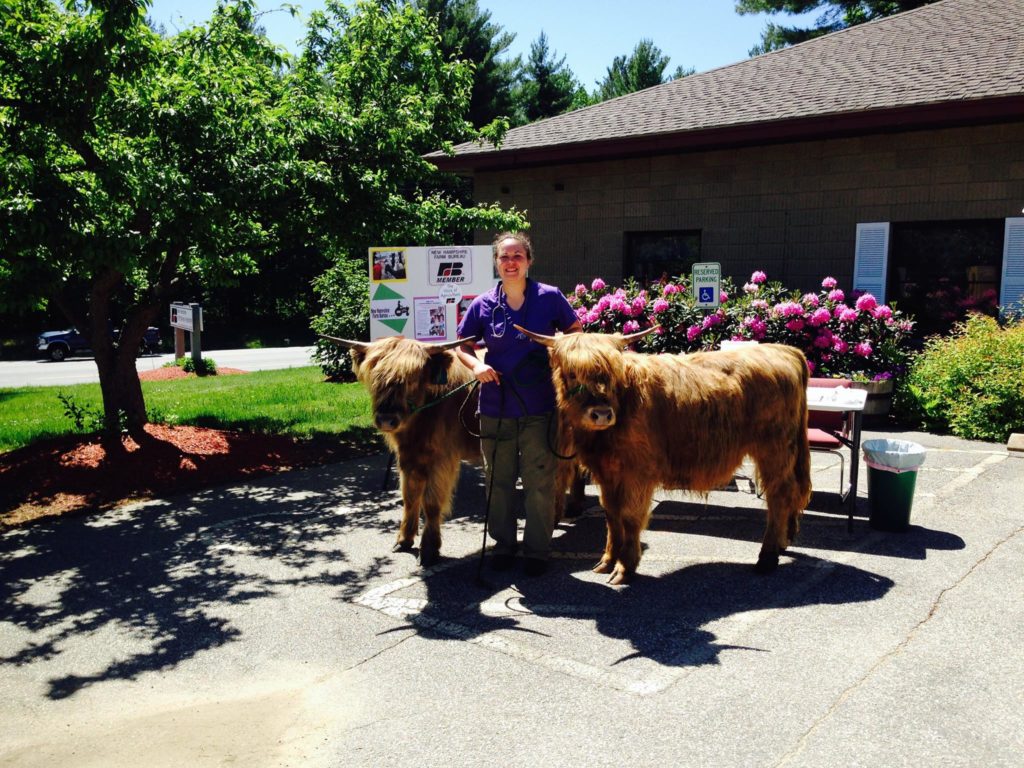 Understanding the Veterinary Feed Directive New Hampshire Farm Bureau