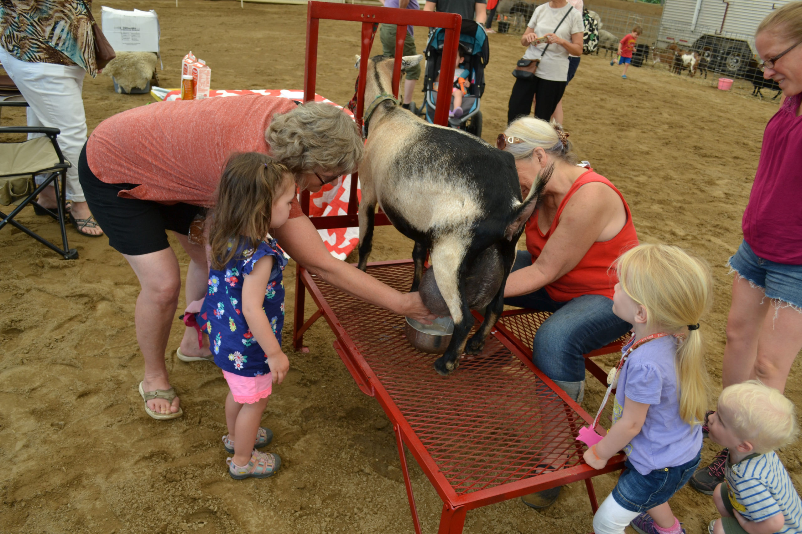 aw family farm day New Hampshire Farm Bureau Federation